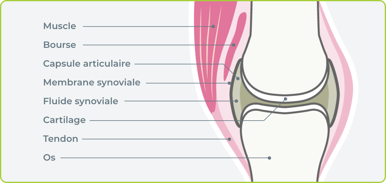 Factor levels for a patient with 12-hour factor half-life
